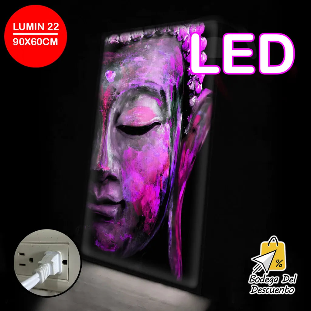 Cuadros luminosos 22 LED