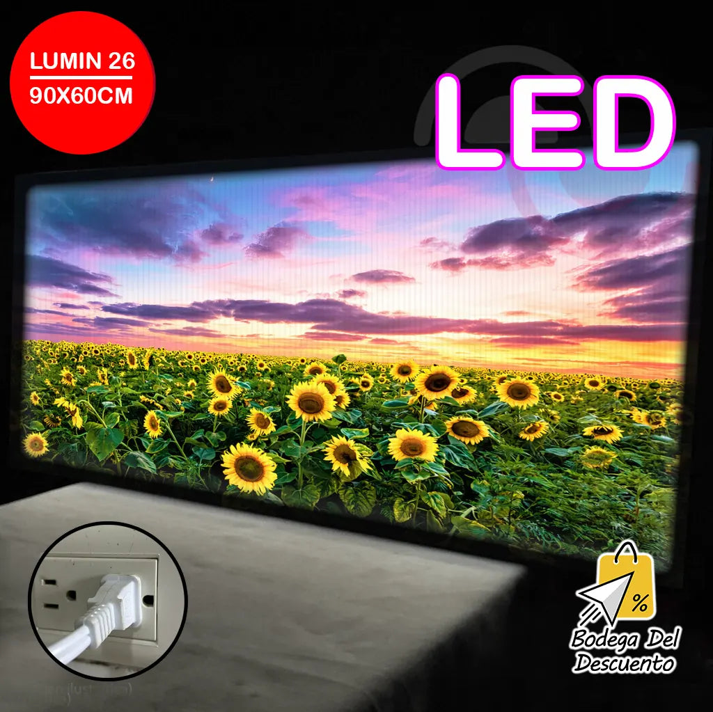 Cuadros luminosos 26 LED