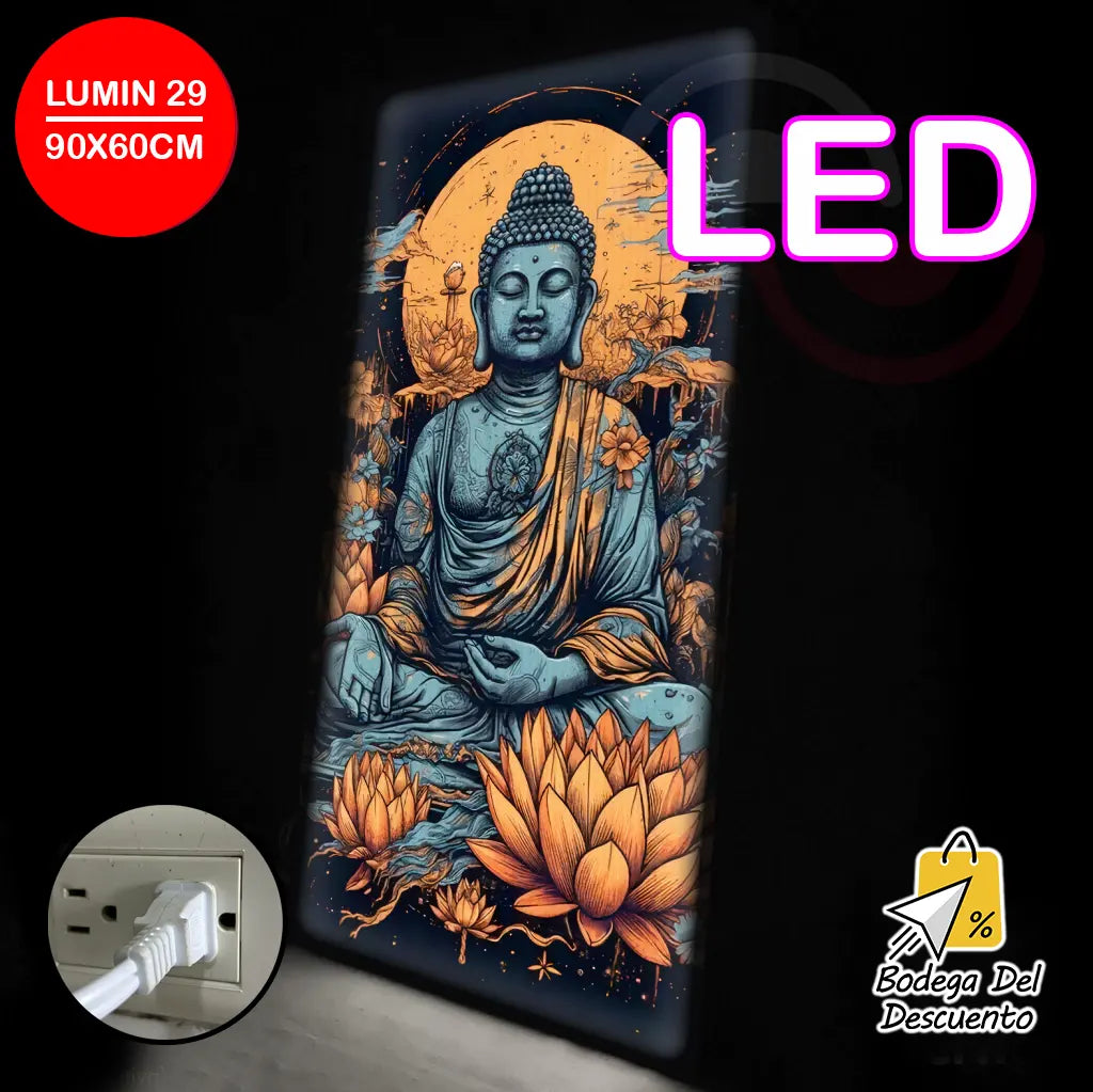 Cuadros luminosos 29 LED