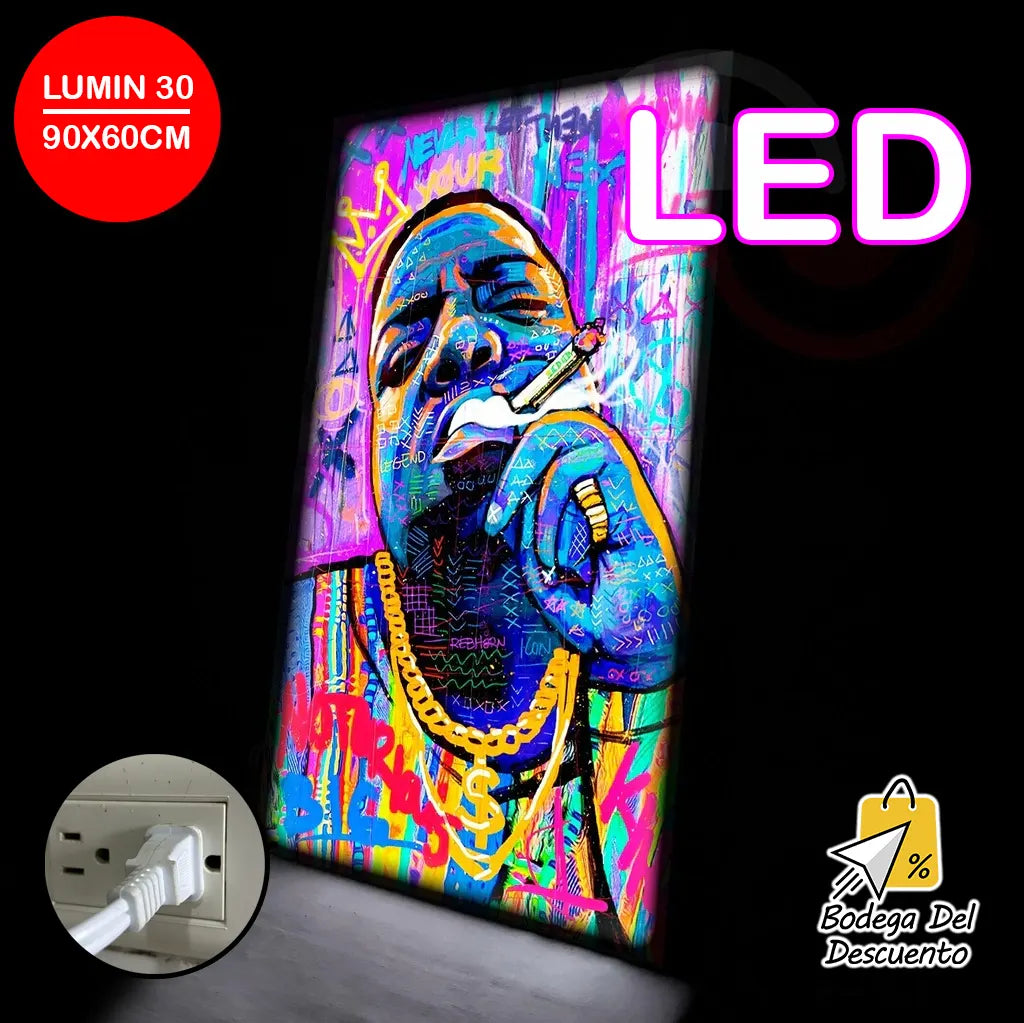 Cuadros luminosos 30 LED