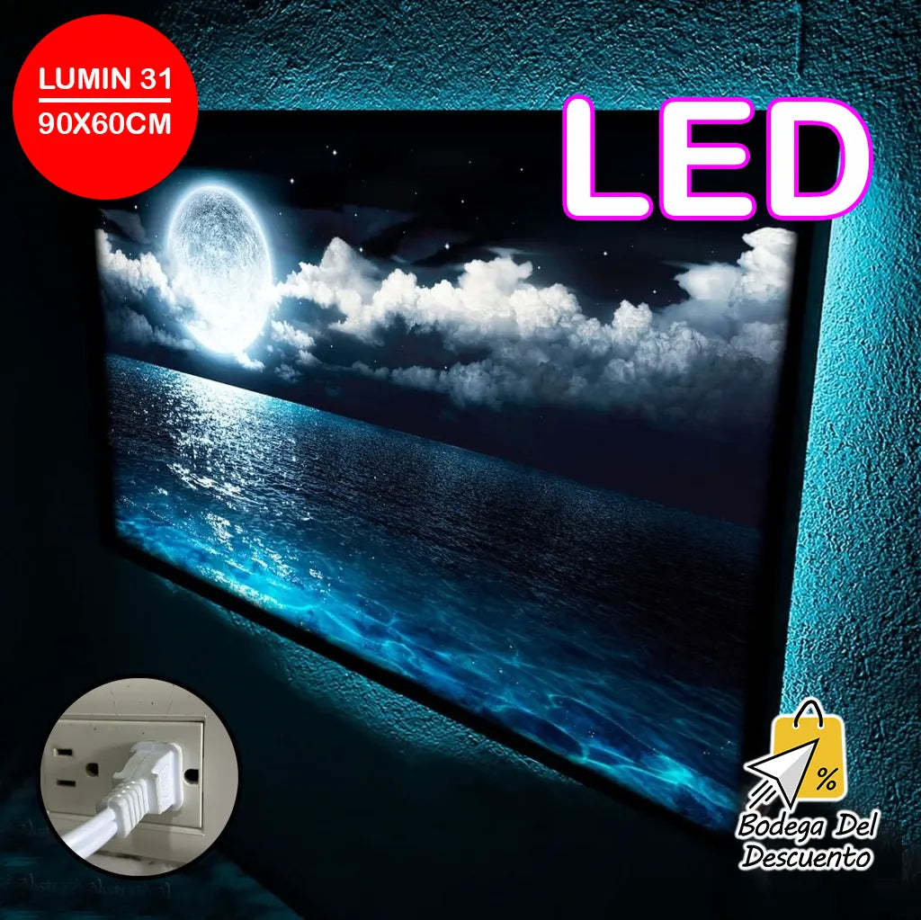 Cuadros luminosos 31 LED