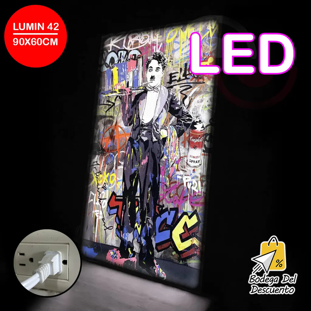 Cuadros luminosos 42 LED