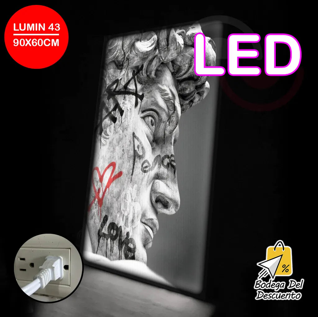 Cuadros luminosos 43 LED