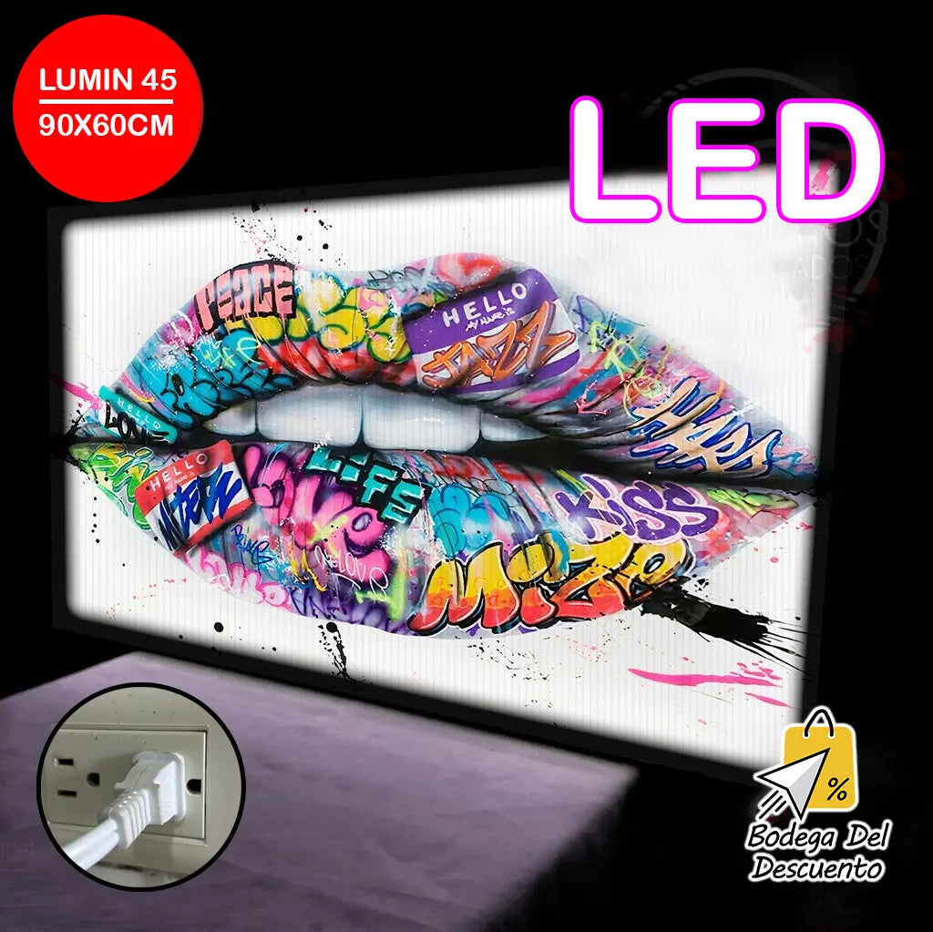 Cuadros luminosos 45 LED