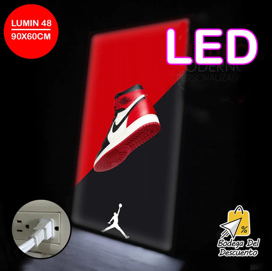 Cuadros luminosos 48 LED