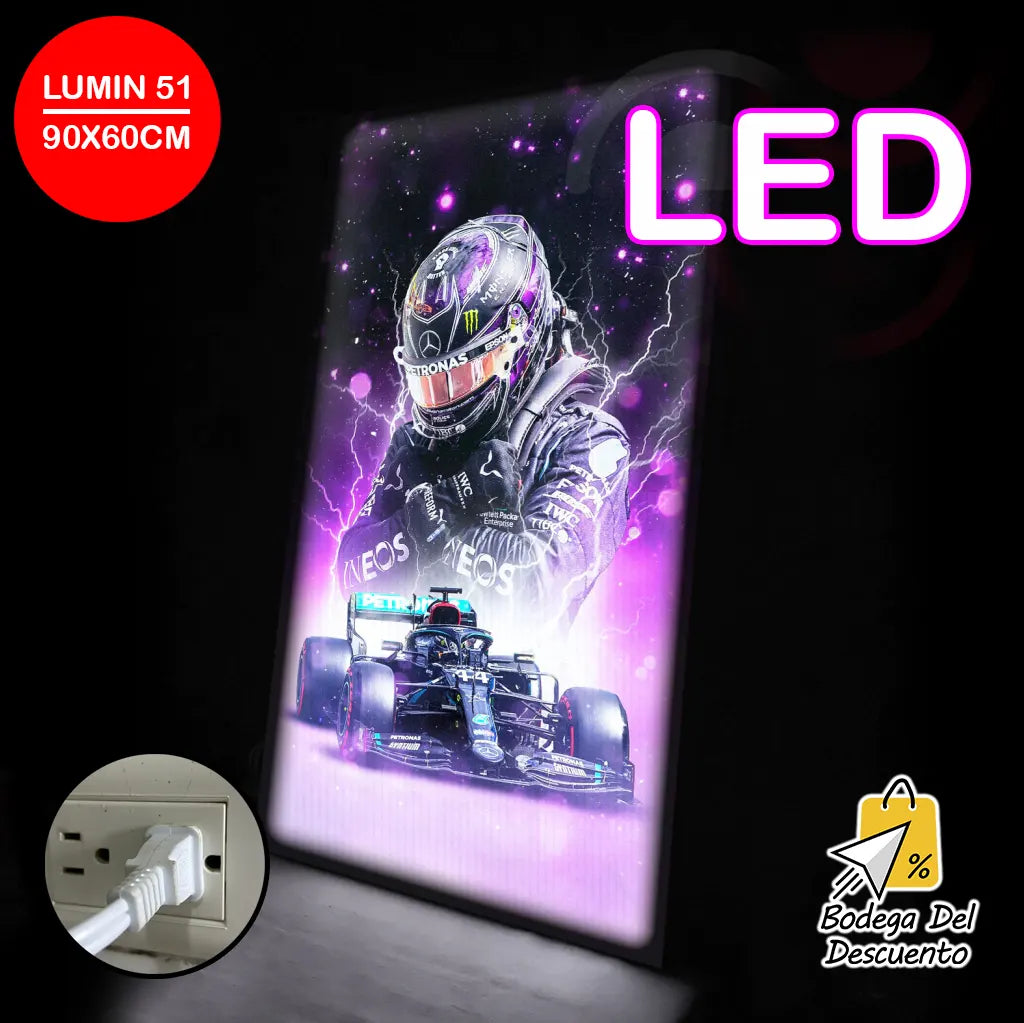 Cuadros luminosos 51 LED