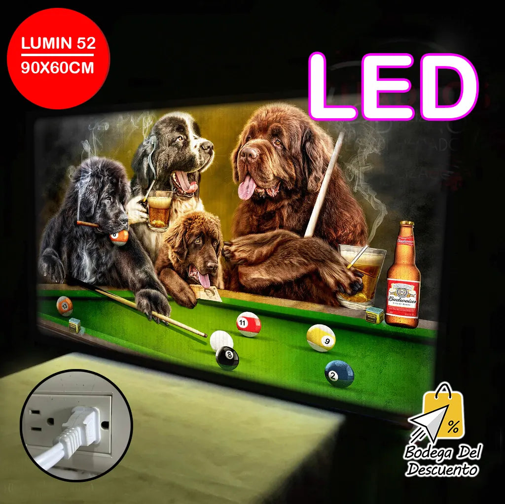 Cuadros luminosos 52 LED