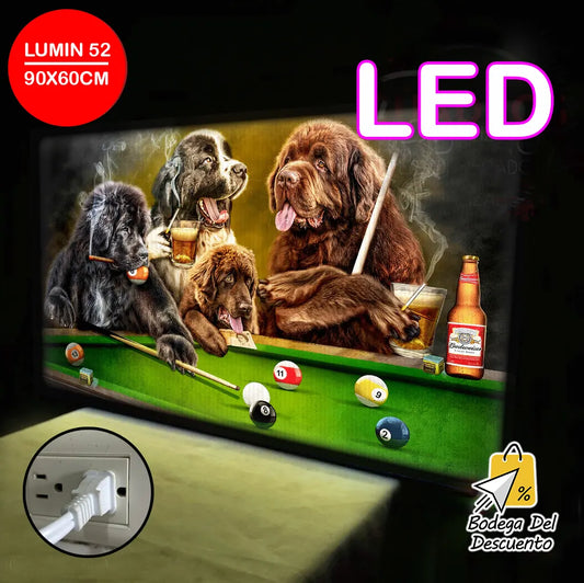 Cuadros luminosos 52 LED