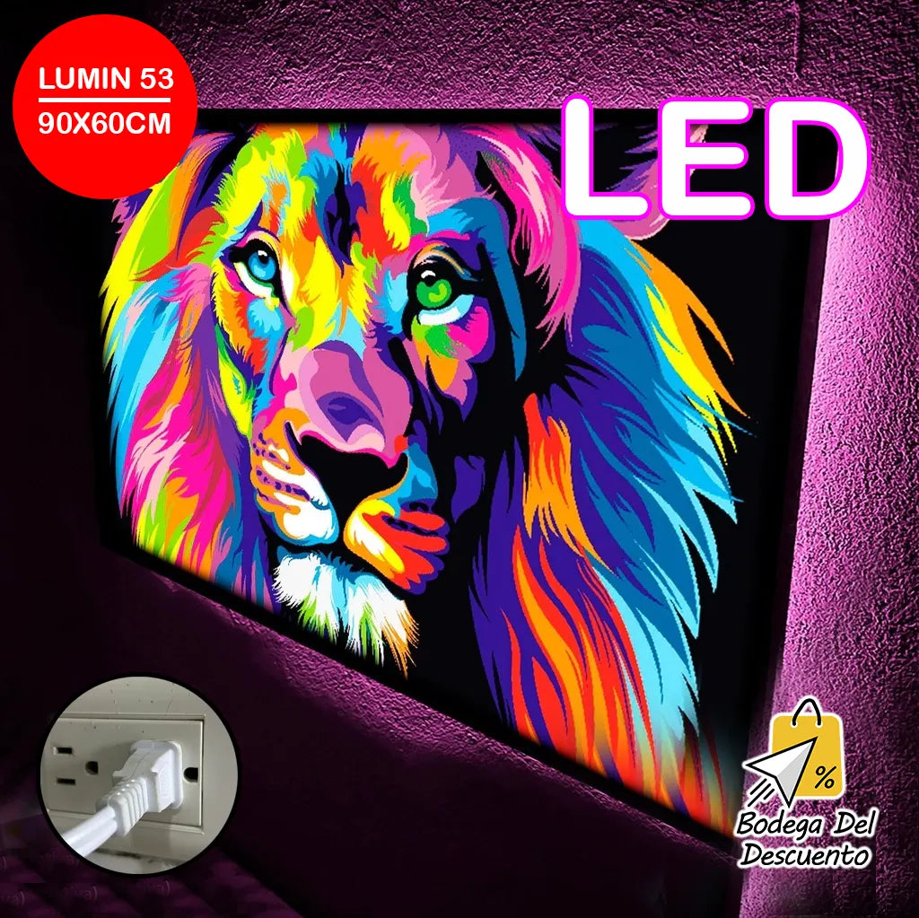 Cuadros luminosos 53 LED