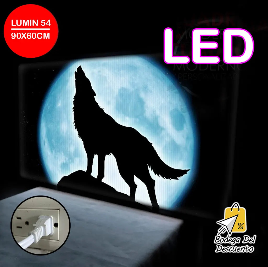 Cuadros luminosos 54 LED