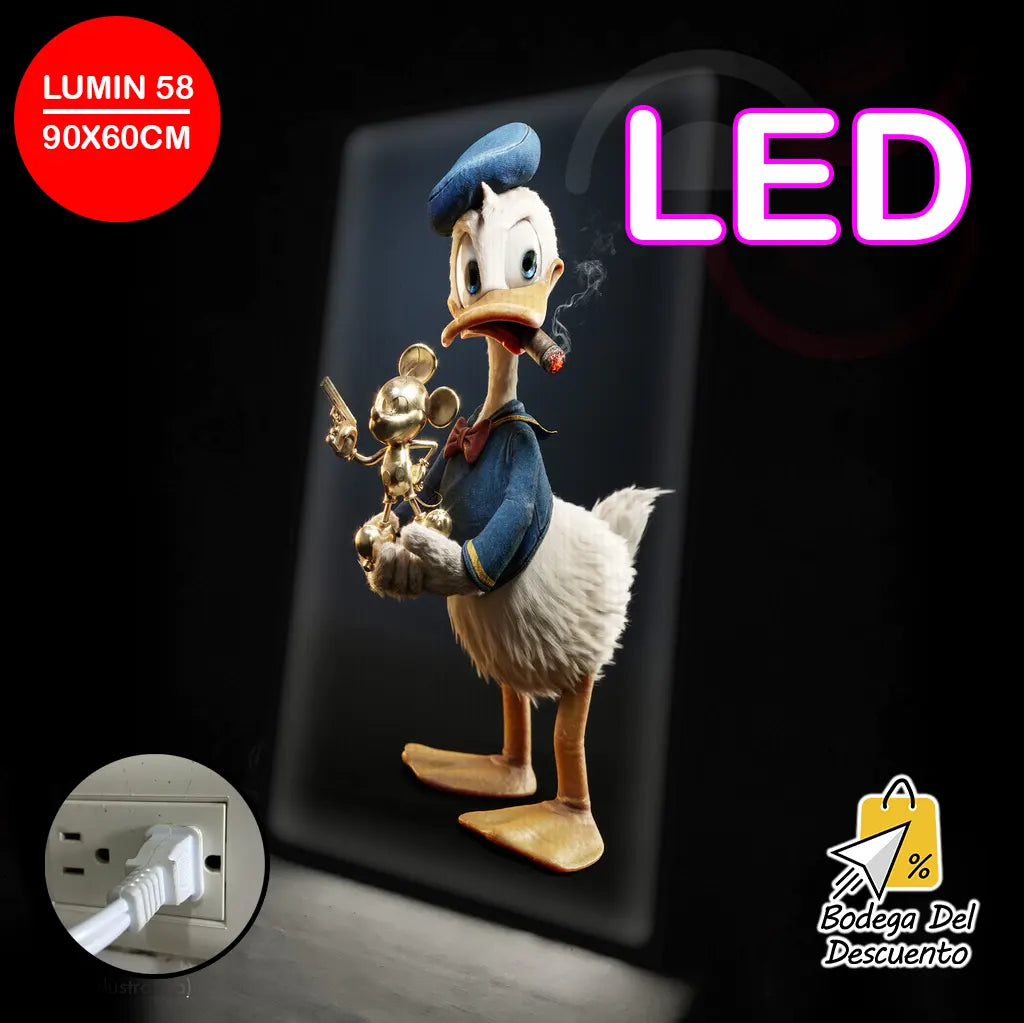 Cuadros luminosos 58 LED