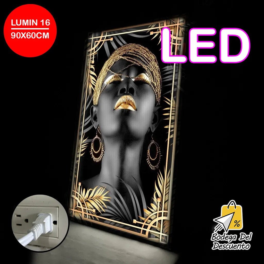 Cuadros luminosos 16 LED
