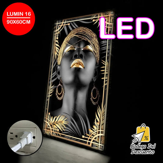 Cuadros luminosos 16 LED