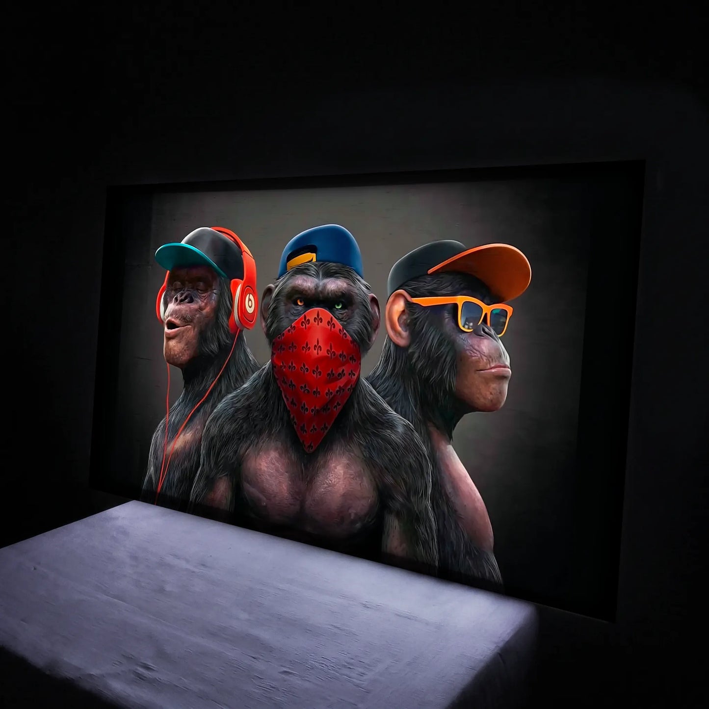 Cuadros luminosos 5 LED
