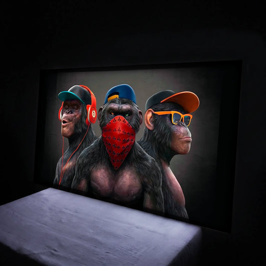 Cuadros luminosos 5 LED
