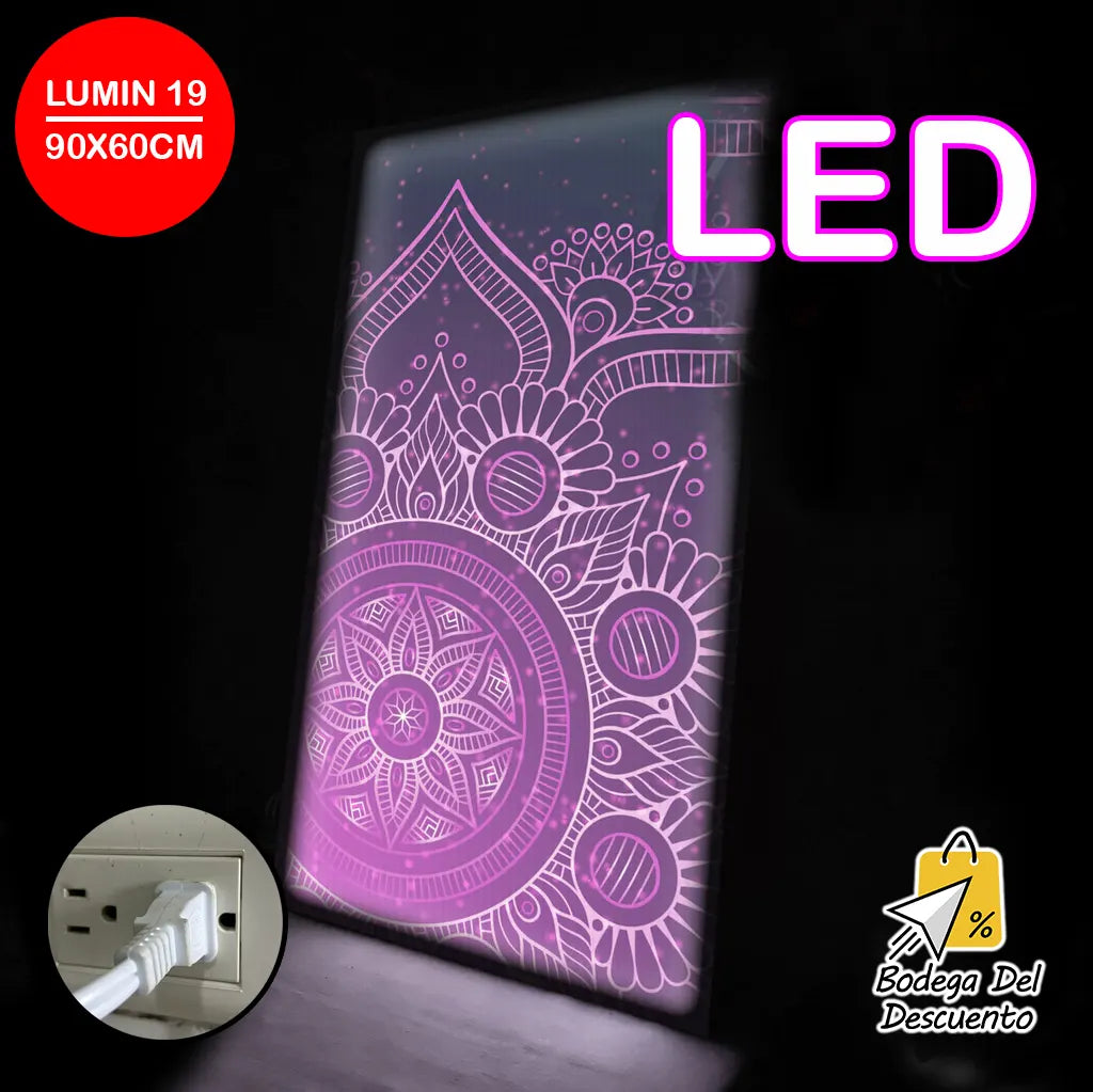 Cuadros luminosos 19 LED