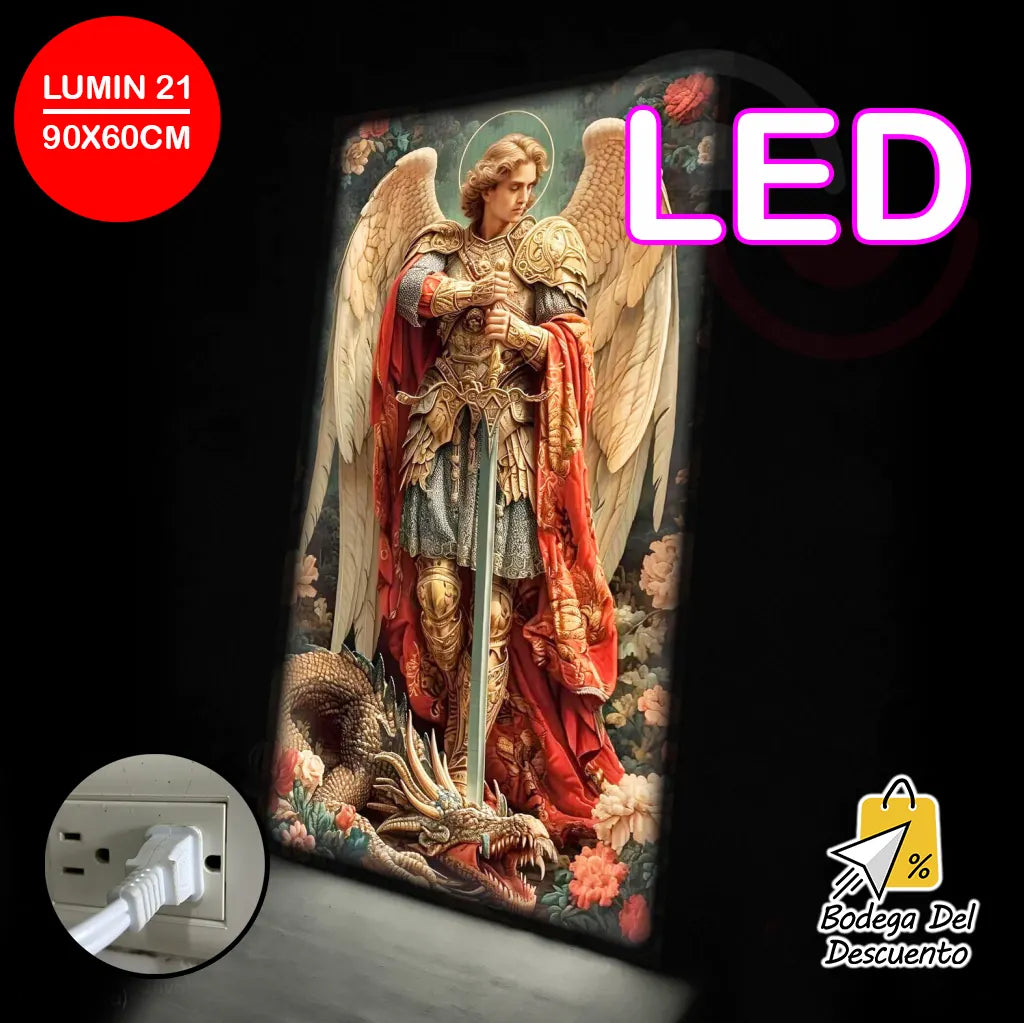 Cuadros luminosos 21 LED